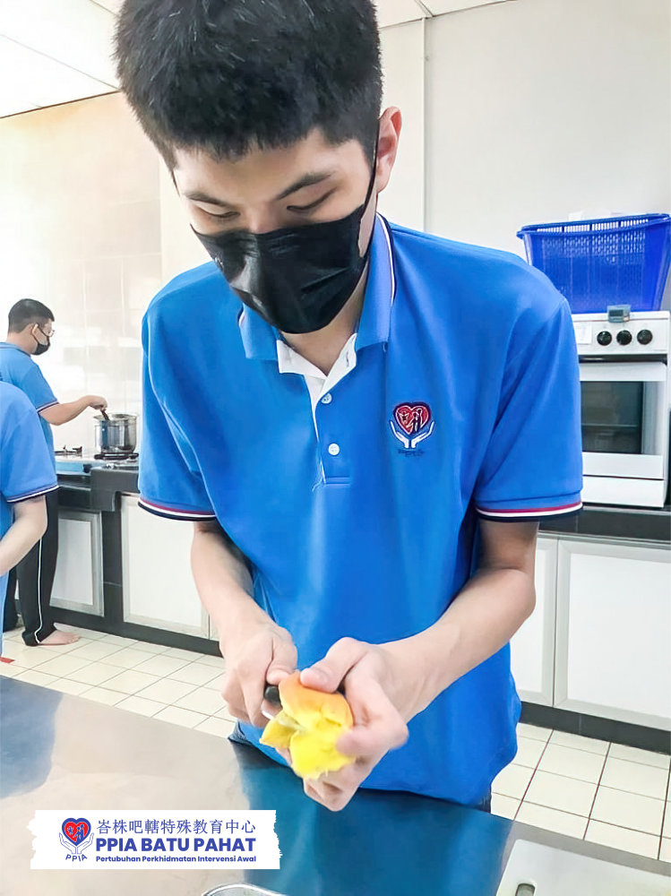 PPIA 峇株吧轄特殊教育中心 职业训练课程 JTP Program Job Training Programme 峇株吧轄特殊关怀课程 训练17-25岁 有潜能出外做工的年轻人 A17